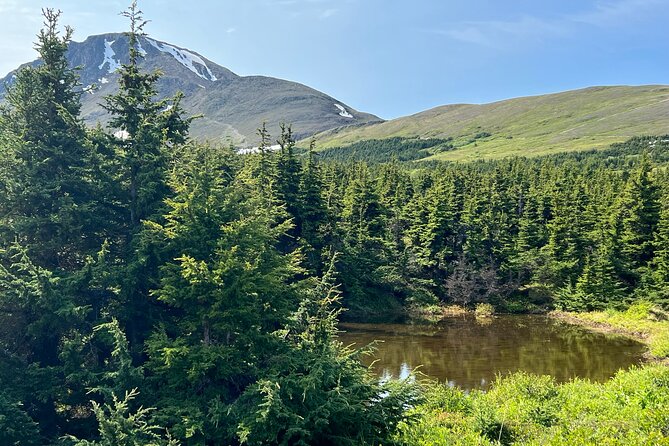 Chugach State Park Nature Walk - Who should book this tour, and who should skip it
