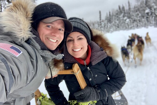 Dog Sledding Adventure in Willow, Alaska - Willow Husky Sledding: A real Alaskan kennel day, not a drive-by attraction