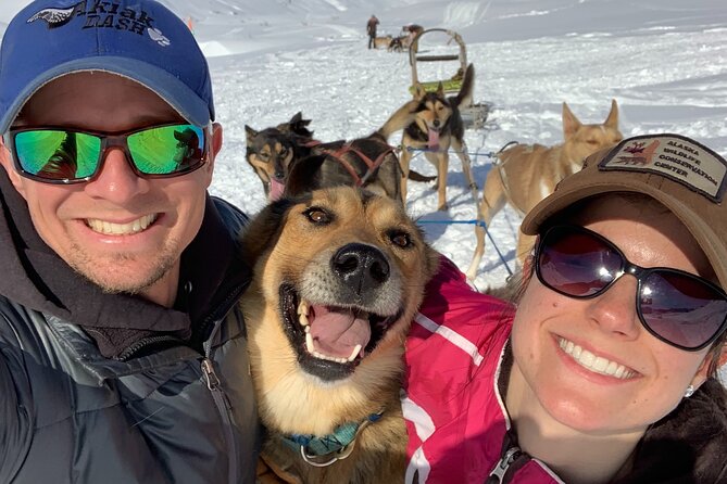Dog Sledding Adventure in Willow, Alaska - What happens before you ride: safety briefing, group flow, and winter gear