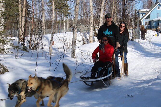 Dog Sledding Adventure in Willow, Alaska - Price and value: what $175 buys you in a small-group, hands-on ride
