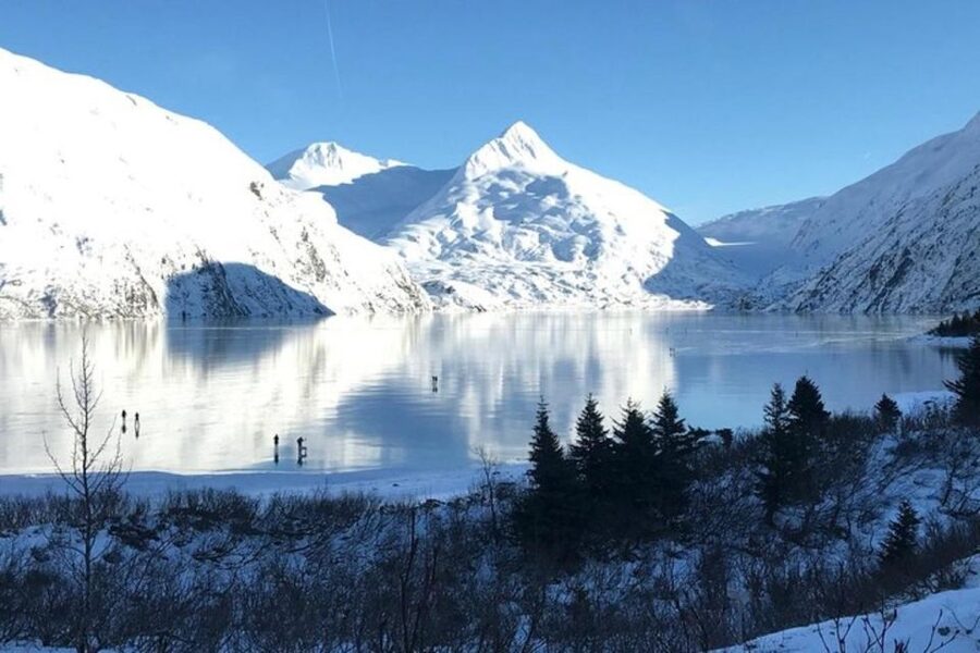 From Anchorage: Alaska Wildlife Center & Turnagain Arm Tour - Potter Marsh: A Freshwater Pause With Cottonwoods and Alder Trees