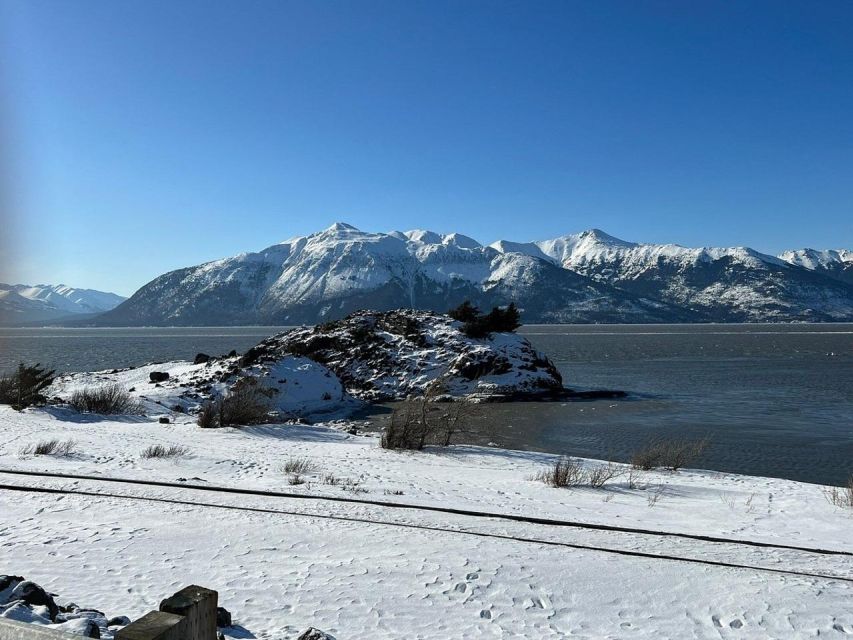 From Anchorage: Alaska Wildlife Center & Turnagain Arm Tour - When Wildlife Won’t Cooperate (How to Keep the Day Fun)