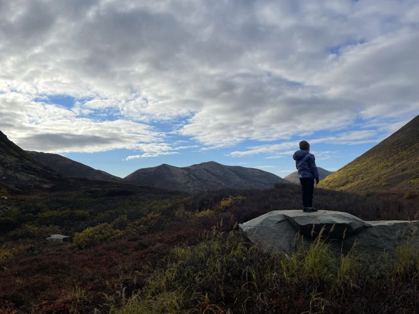 From Anchorage: Chugach State Park Walk with Naturalist - Boreal Forest Lessons You Can Actually Use
