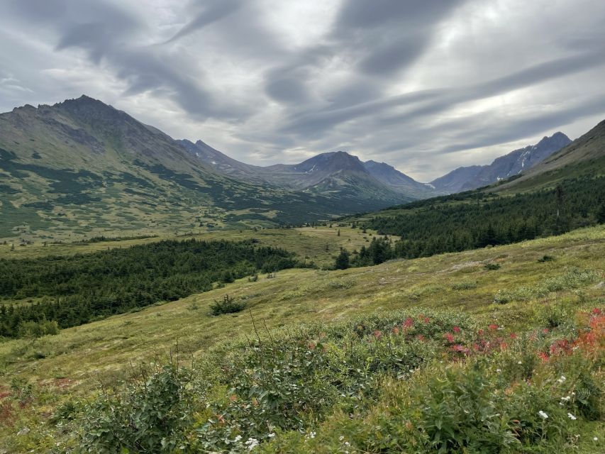 From Anchorage: Chugach State Park Walk with Naturalist - Wildlife Viewing: How to Think About Moose, Bears, and Birds
