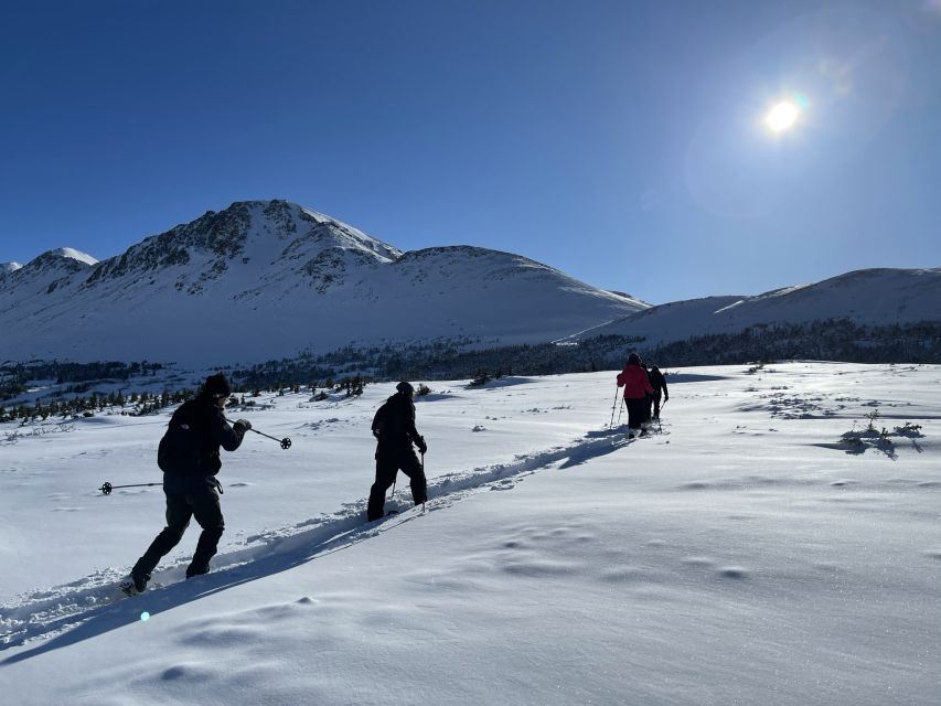 From Anchorage: Glen Alps Beginner's Snowshoeing Adventure - Key things to know before you go