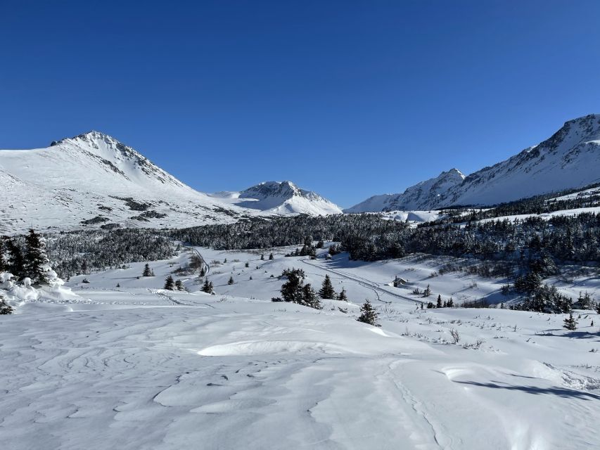 From Anchorage: Glen Alps Beginner's Snowshoeing Adventure - Naturalist Learning: Alpine Spruce Forests and Why This Place Looks the Way It Does