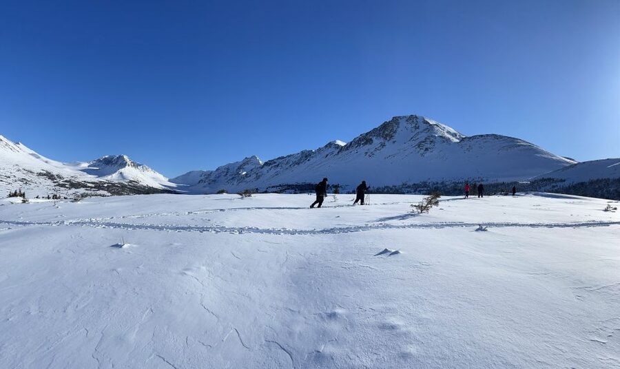 From Anchorage: Glen Alps Beginner's Snowshoeing Adventure - Walking the Glen Alps: Hemlock Forests, Alpine Meadows, and Valley Views
