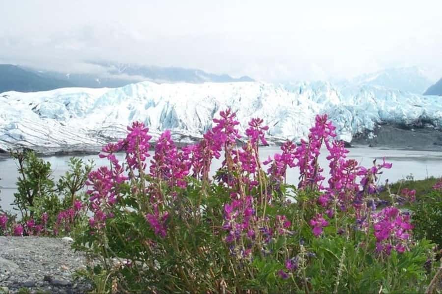 From Anchorage: Matanuska Glacier Winter Tour with Lunch - Why Matanuska Feels Accessible (and Why That’s a Plus in Winter)