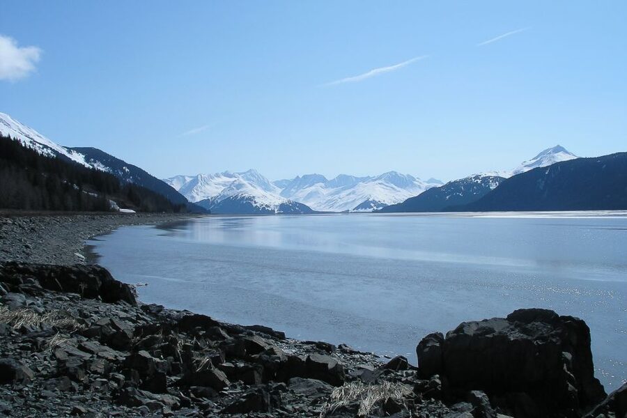 From Anchorage: Portage Glacier and Wildlife Full-Day Tour - Key Things That Make This Tour Worth It