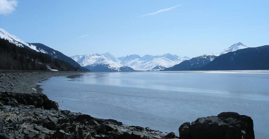 From Anchorage: Portage Glacier and Wildlife Full-Day Tour - Salmon run moments and Beluga whale timing on Cook Inlet