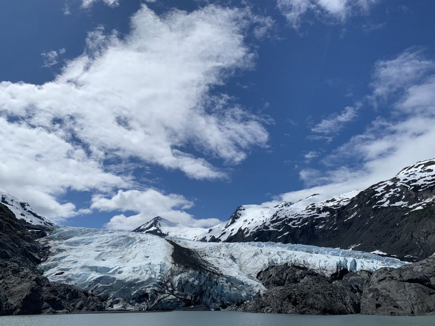 From Anchorage: Valley of Glaciers & Wildlife Center Tour - Portage Valley stops: Explorer, Middle, and Byron Glacier viewing