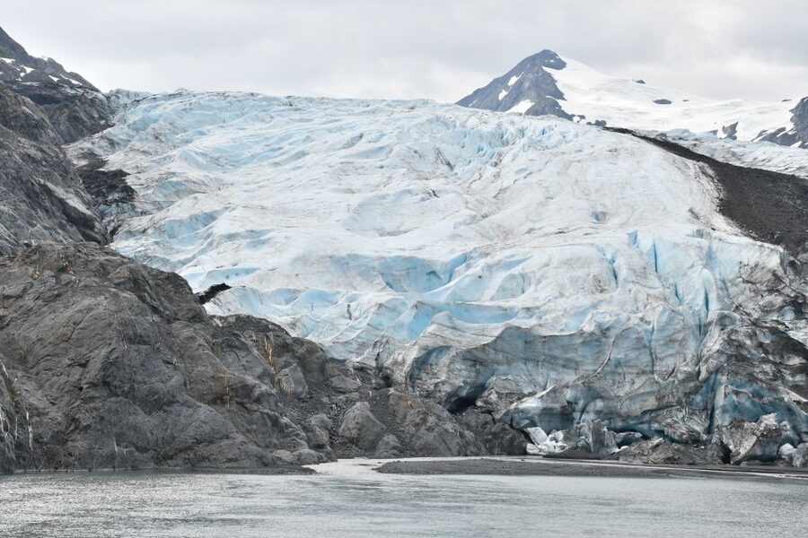 From Anchorage: Valley of Glaciers & Wildlife Center Tour - Alaska Wildlife Conservation Center: bears, moose, wolves, and more