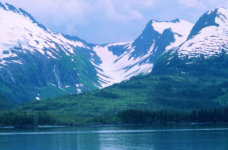 From Anchorage: Wilderness, Wildlife, & Glacier Experience - Photo lesson on the move: better shots without stress