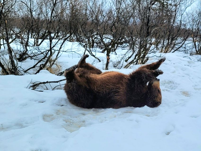 From Anchorage: Wilderness, Wildlife, & Glacier Experience - What to bring for Alaska weather (the practical stuff)