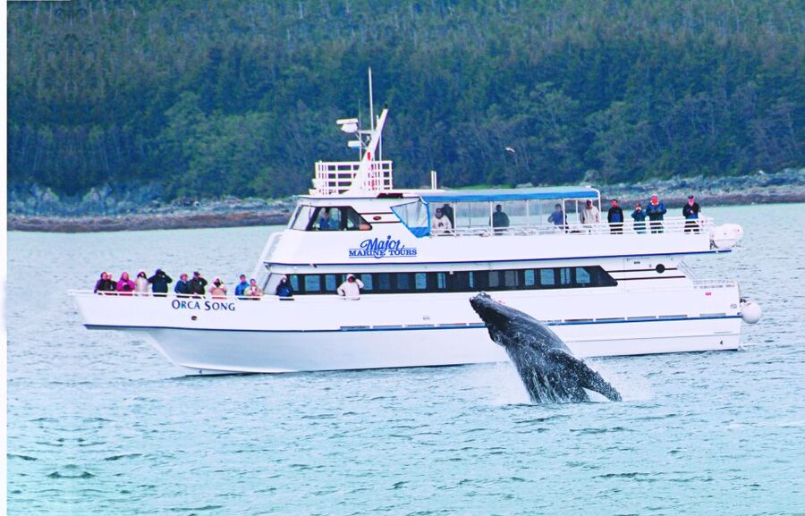 From Seward: Half-Day Resurrection Bay Wildlife Cruise Tour - First Impressions in Seward: Getting Set for 4 Hours on the Water