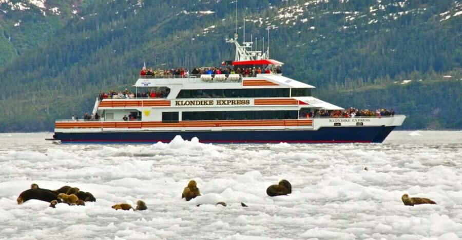 From Whittier/Anchorage: Prince William Sound Glacier Cruise - Prince William Sound glaciers: what makes this cruise special