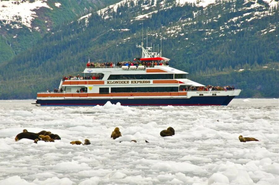 From Whittier/Anchorage: Prince William Sound Glacier Cruise - On board the high-speed catamaran: comfort where you need it