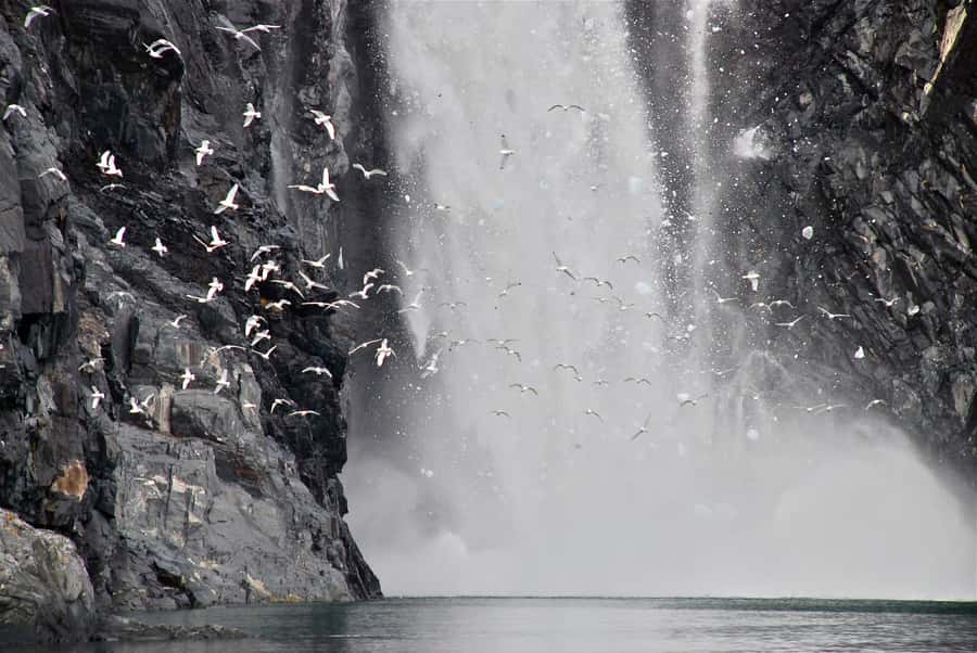 From Whittier: Glacier Quest Cruise with Onboard Lunch - Who this cruise fits best (and who should rethink it)