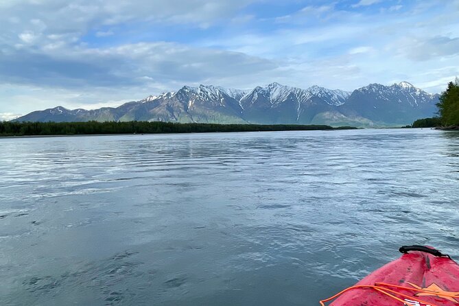 Full Day Guided Kayak Tour on Knik River - Wildlife chances: what you can reasonably hope for