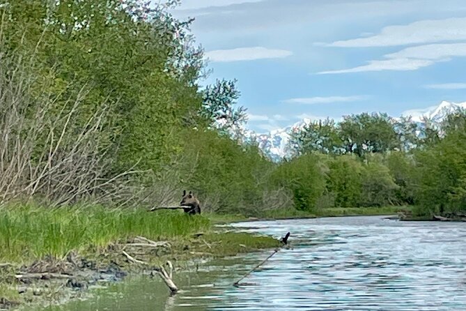 Full Day Guided Kayak Tour on Knik River - Guides and the feel of the day in small-group format