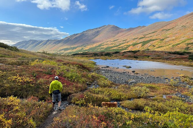 Full day Hiking Adventure - What makes it feel personal (and what to watch for)