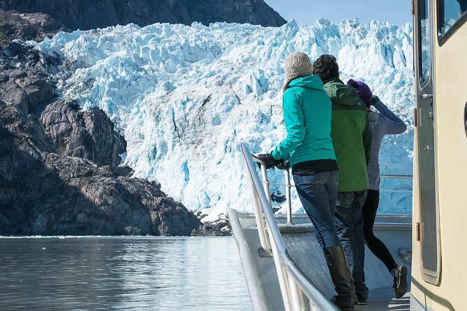 Full-Day Kenai Fjords National Park Northwestern Cruise - From Seward to Northwestern Fjord: the real value of going small