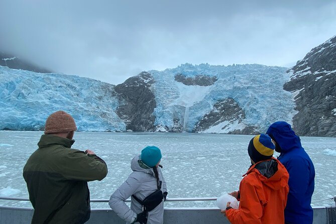 Full day Northwestern Glacier & Wildlife Tour from Seward - Key Things You’ll Notice on This Cruise