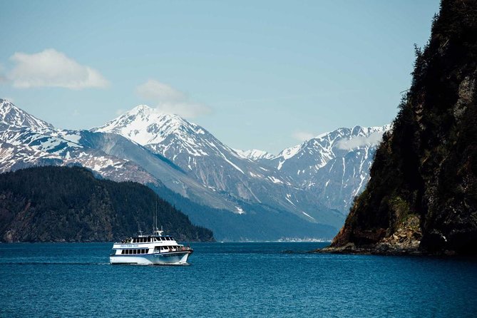 Full day Northwestern Glacier & Wildlife Tour from Seward - Food, Comfort, and the Sea-Sickness Reality Check