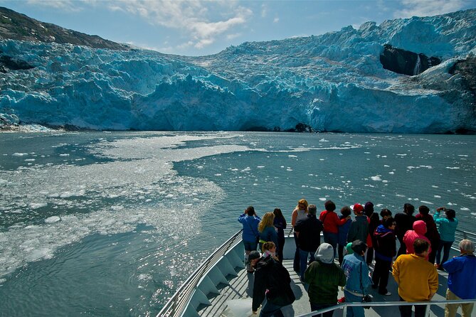 Glacier Quest Cruise and Coach Package - What if weather is wet or wildlife is quiet?