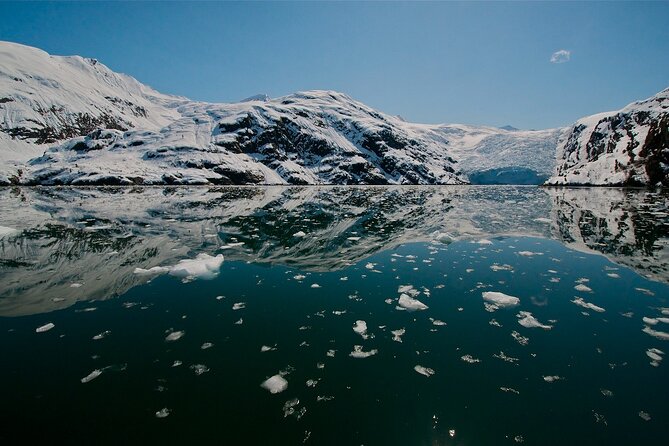 Glacier Quest Cruise and Coach Package - Practical tips that make the day work better