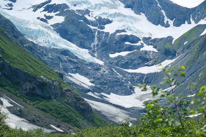 Glacier View & Wildlife Anchorage Adventure Tour - Beluga Point: your wildlife odds near Turnagain Arm