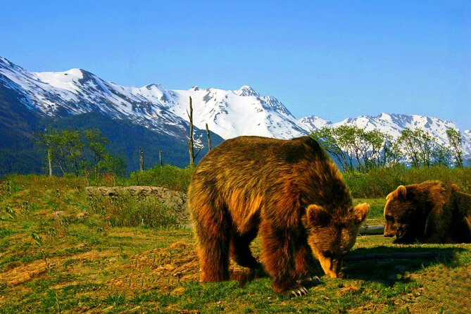 Glacier View & Wildlife Anchorage Adventure Tour - Price and value: what $177 buys you in real terms