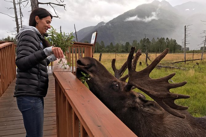 Glaciers and Wildlife: Super Scenic Day Tour from Anchorage - Guides are the difference: names you’ll hear and the style you’ll feel
