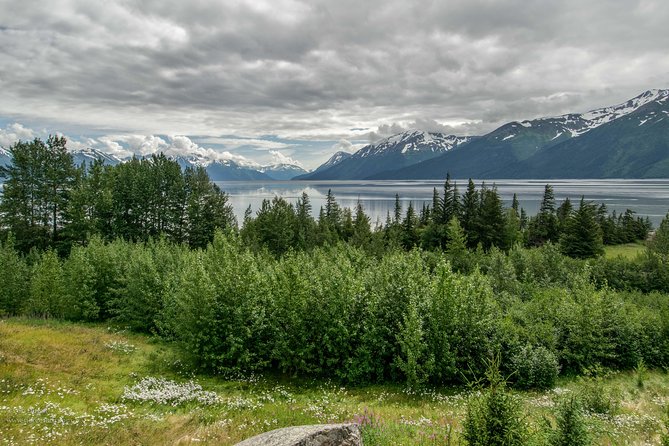 Glaciers and Wildlife: Super Scenic Day Tour from Anchorage - What’s included—and how that affects the price you pay