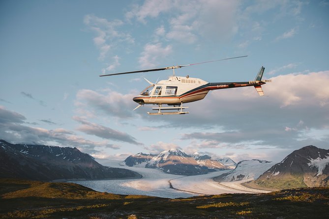 Grand Knik Helicopter Tour - 2 hours 3 landings - ANCHORAGE AREA - Wildlife chances: why landing days feel extra alive
