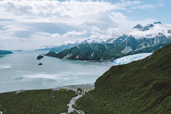 Grand View Tour - Where You Fly First: Resurrection Bay, Mountain Goats, and Marine Life