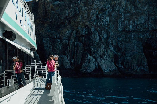 Half day Spring Resurrection Bay & Wildlife Tour from Seward - Kenai Fjords National Park Views: Bear Glacier and Icefield Country