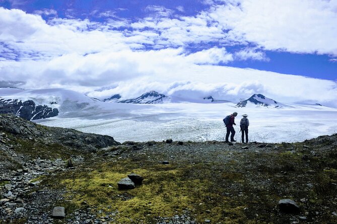 Harding Icefield Trail Hiking Tour - Why the guide makes the difference (and why it shows)