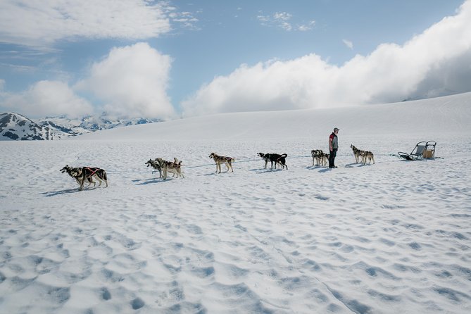 Helicopter Glacier & Dog Sledding Adventure Tour - Key things I’d watch for
