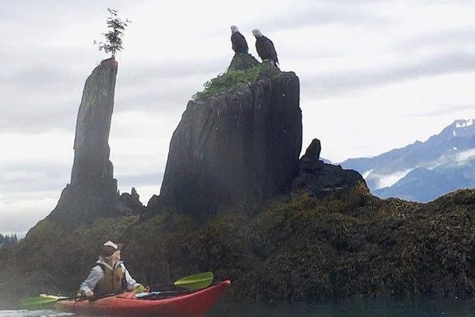 Kayak and Hike to Historic WW2 Army Fort in Alaska! - Driftwood Ghost Forests and the 1964 Earthquake Story You Can See