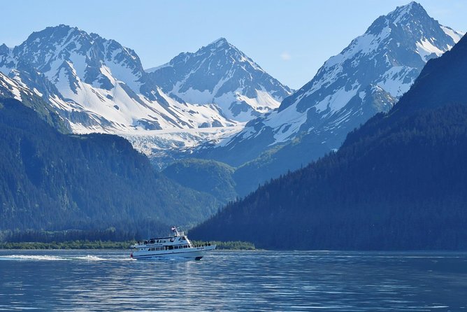 Kenai Fjords and Resurrection Bay Half-Day Wildlife Cruise - Cape Resurrection: Where Steller Sea Lions and Birds Steal Time