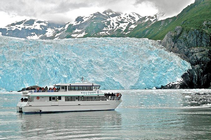 Kenai Fjords National Park Glacier Dinner Cruise from Seward - Practical tips so you don’t spend the cruise miserable