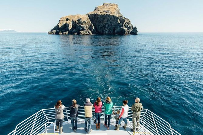 Kenai Fjords National Park Glacier Dinner Cruise from Seward - Who should book this Kenai Fjords dinner cruise?