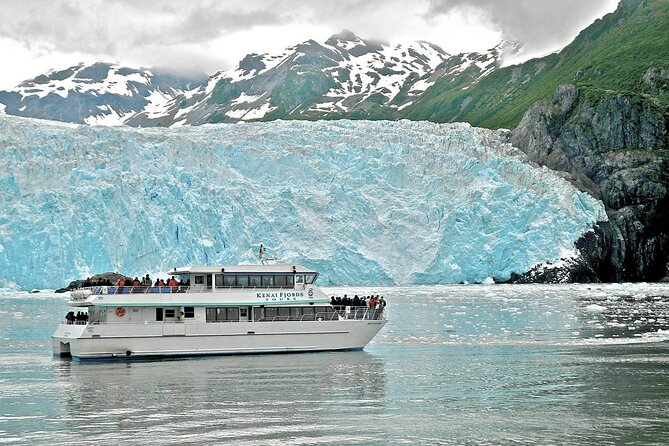 Kenai Fjords National Park Glacier & Wildlife Tour from Seward - Price and value: is $223.85 a fair deal for 6 hours?