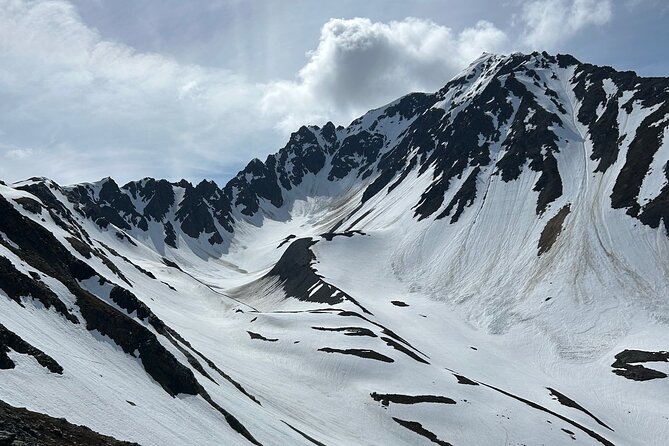 Mount Marathon Bowl / Race Summit with Seward Guided Hikes - Skyline Ridge to the Race Trail summit: the view is the point
