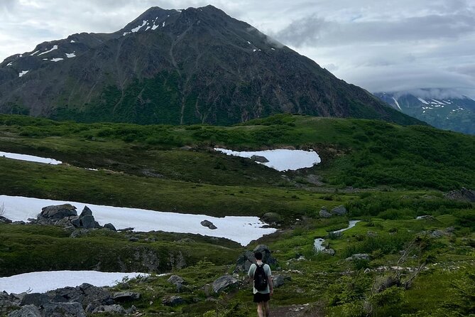Mount Marathon Bowl / Race Summit with Seward Guided Hikes - Should you book this Mt. Marathon Bowl and Race Summit hike?