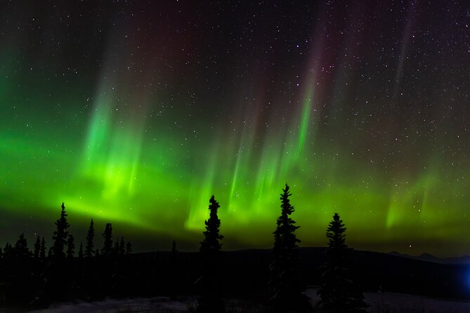 Northern Lights Adventure of a Liftetime from Anchorage - How the night unfolds: searching, waiting, and keeping you shooting