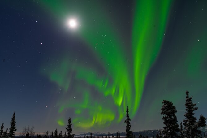 Northern Lights Adventure of a Liftetime from Anchorage - Cold-weather practicalities: staying warm for hours outdoors