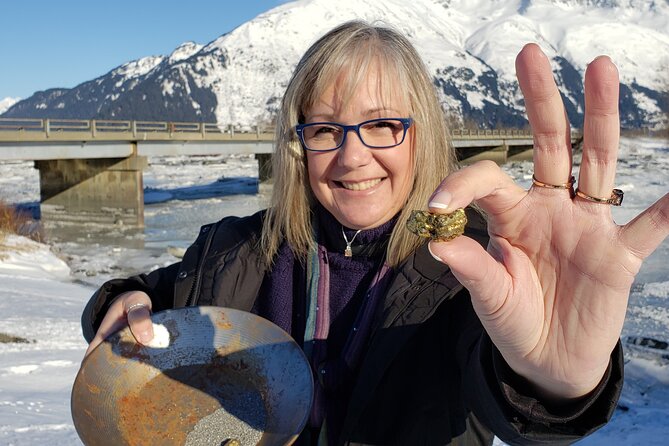 Premiere City Tour of Anchorage-Mountain views & Native Culture - Where you meet, how pickup helps, and what the timing feels like