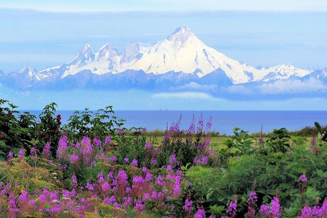 Private Transfer, Seward Cruise ship to Anchorage - The drive itself: smooth, and often informative